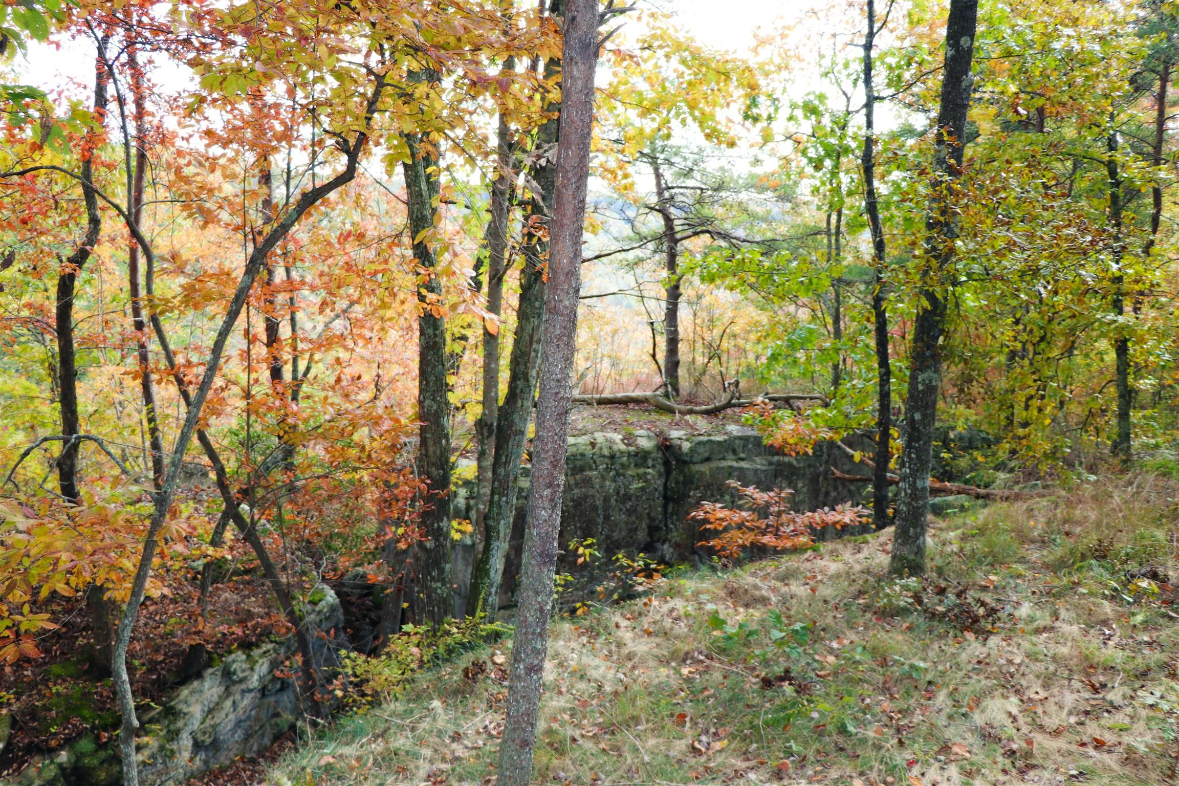 6.15 acres in Grundy County, Tennessee