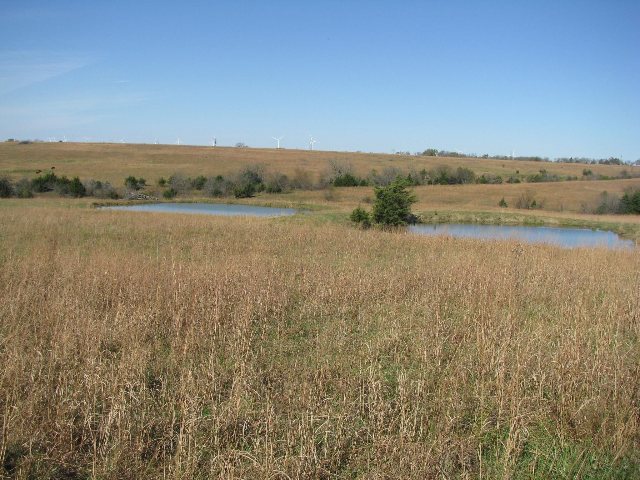 78 acres in Coffey County, Kansas