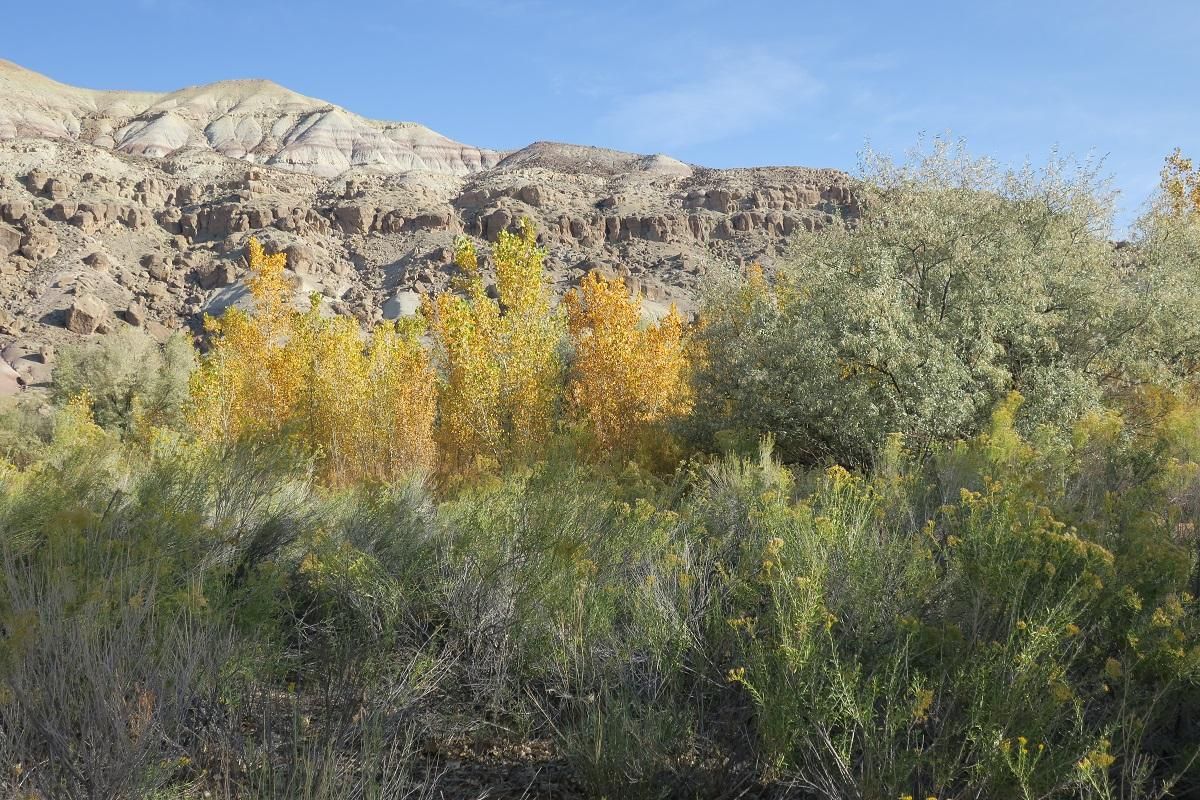 120 acres in Wayne County, Utah