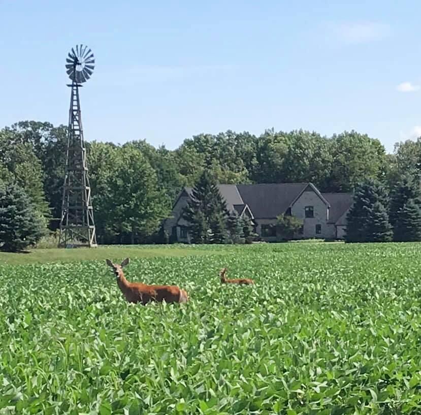 40 acres in Saint Clair County, Michigan