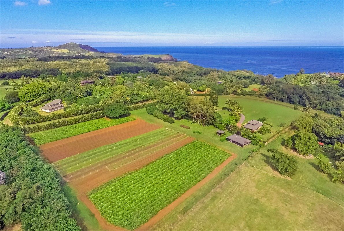 7 acres in Kauai County, Hawaii