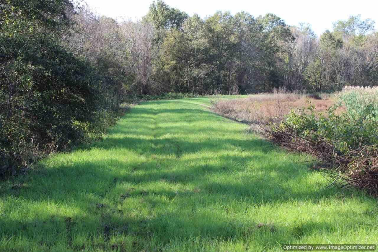 40 acres in Leflore County, Mississippi