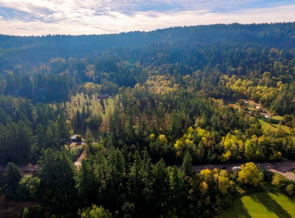 McKenzie Hwy., Springfield, OR 97478 MLS 17012226