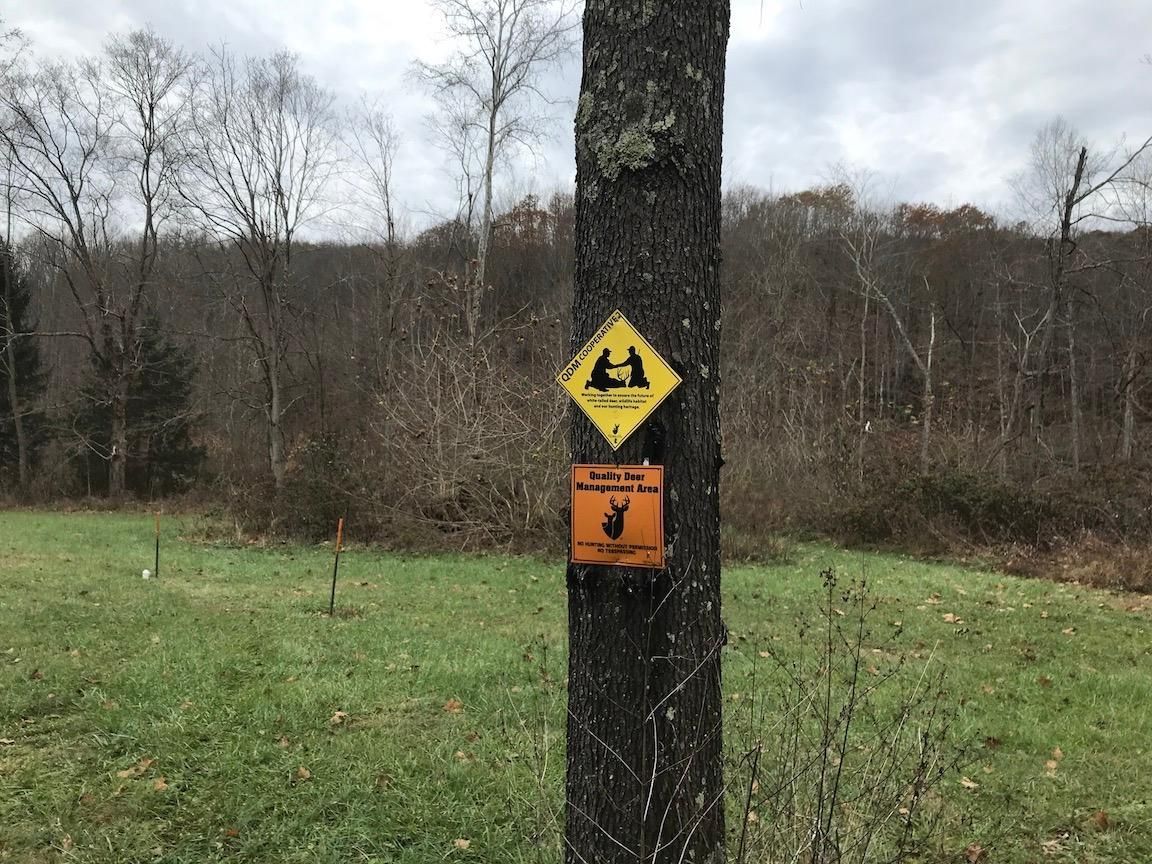 59 acres in Pike County, Ohio