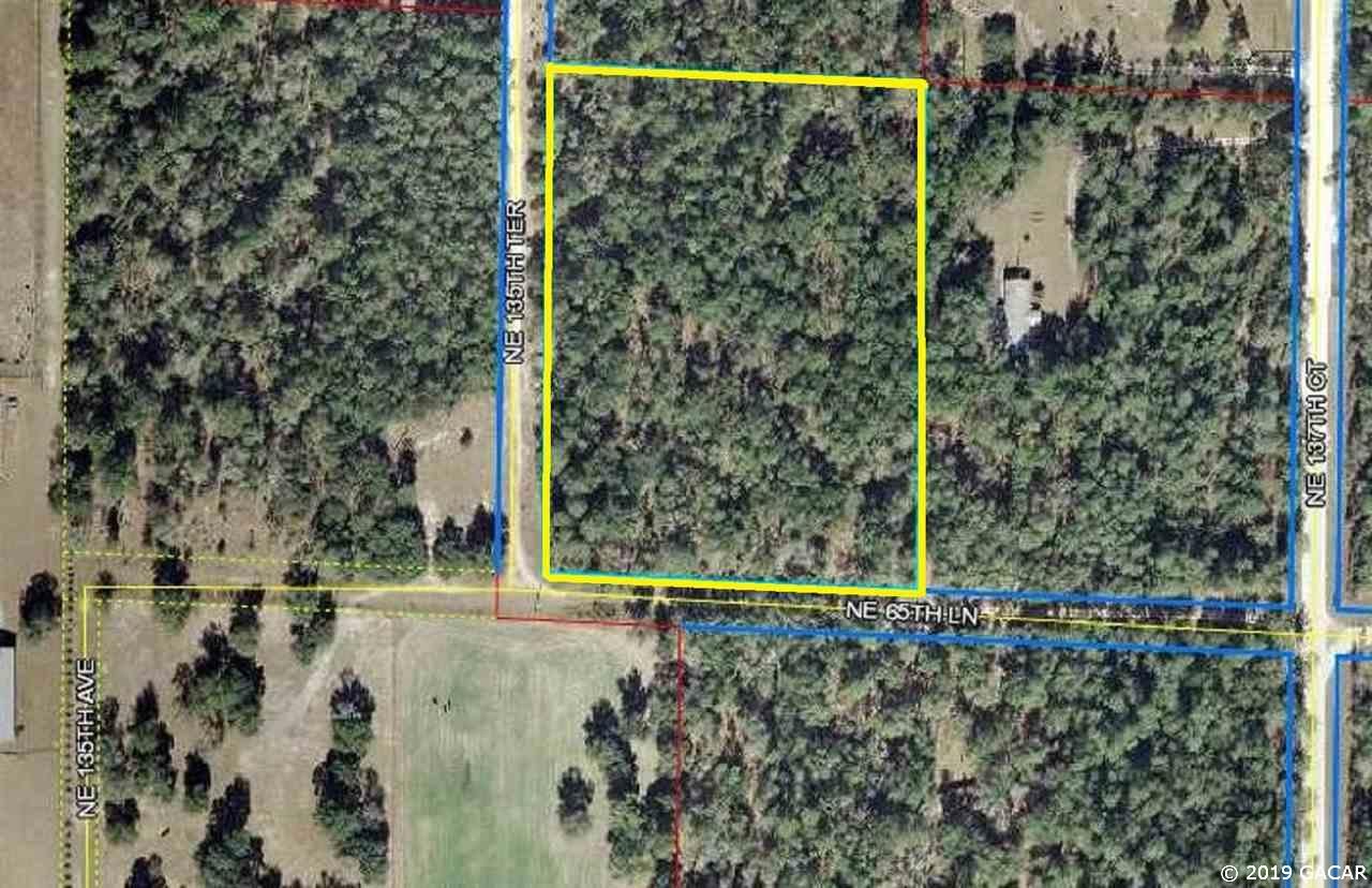 5 acres in Levy County, Florida