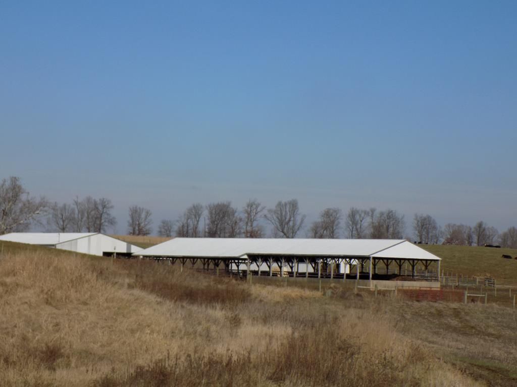 90 acres in Fleming County, Kentucky