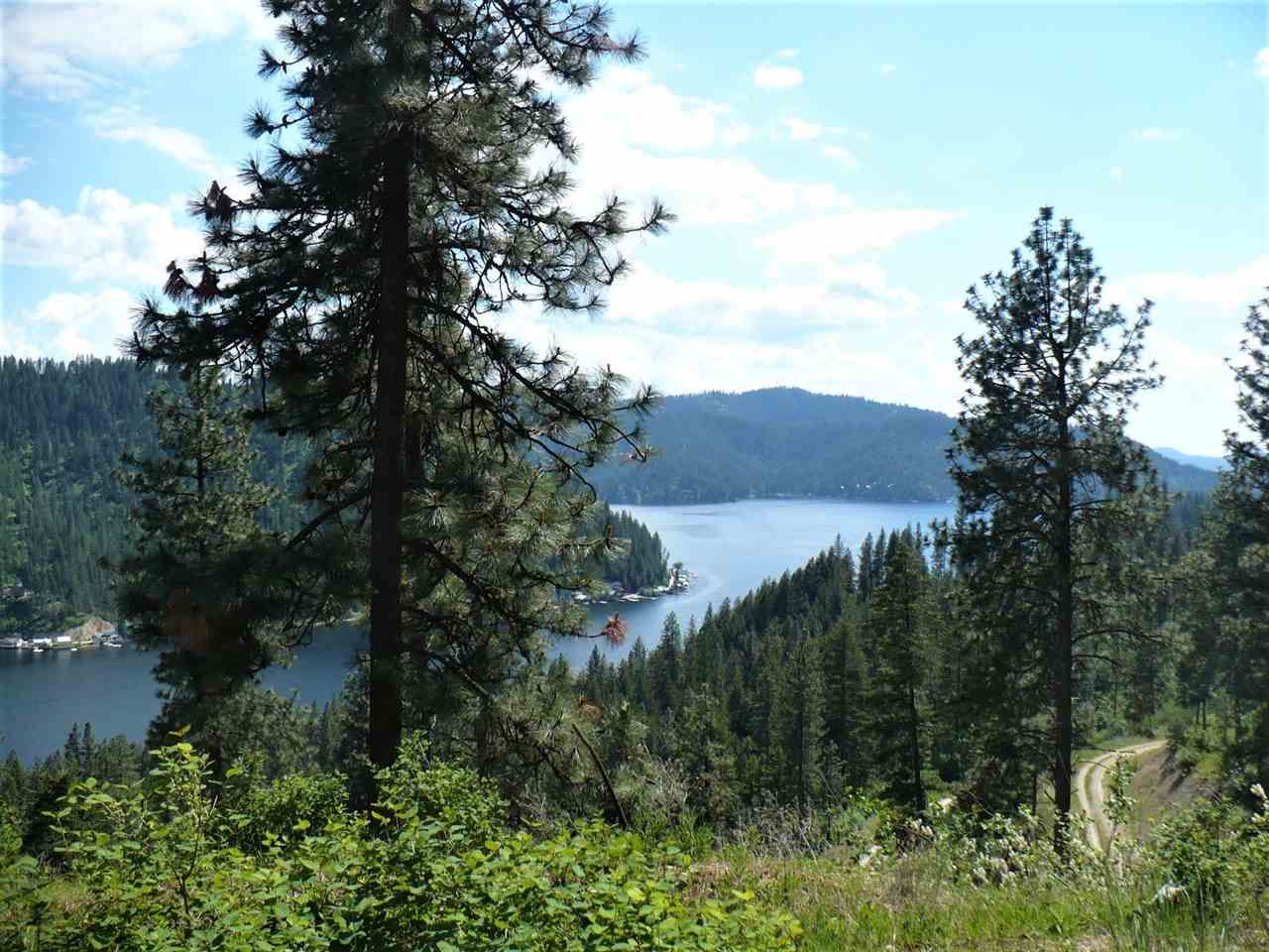 20 acres in Stevens County, Washington