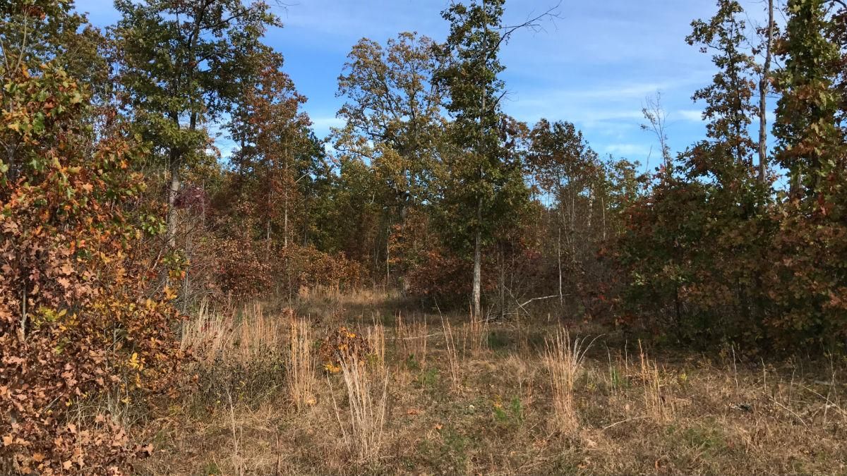 10 acres in Shannon County, Missouri