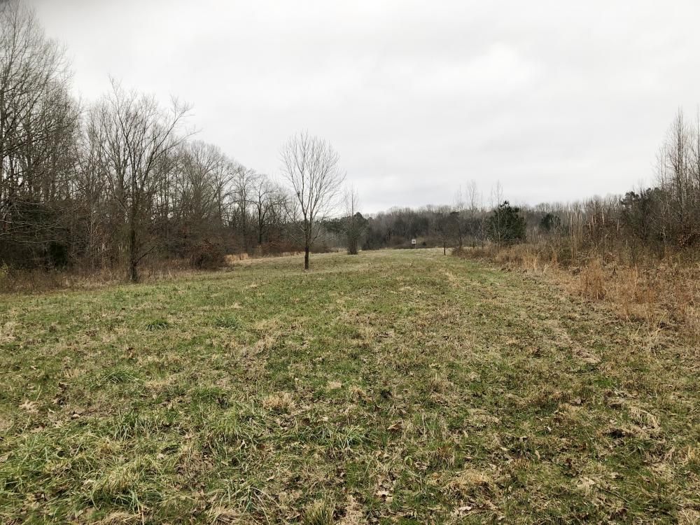 120 acres in Lawrence County, Alabama