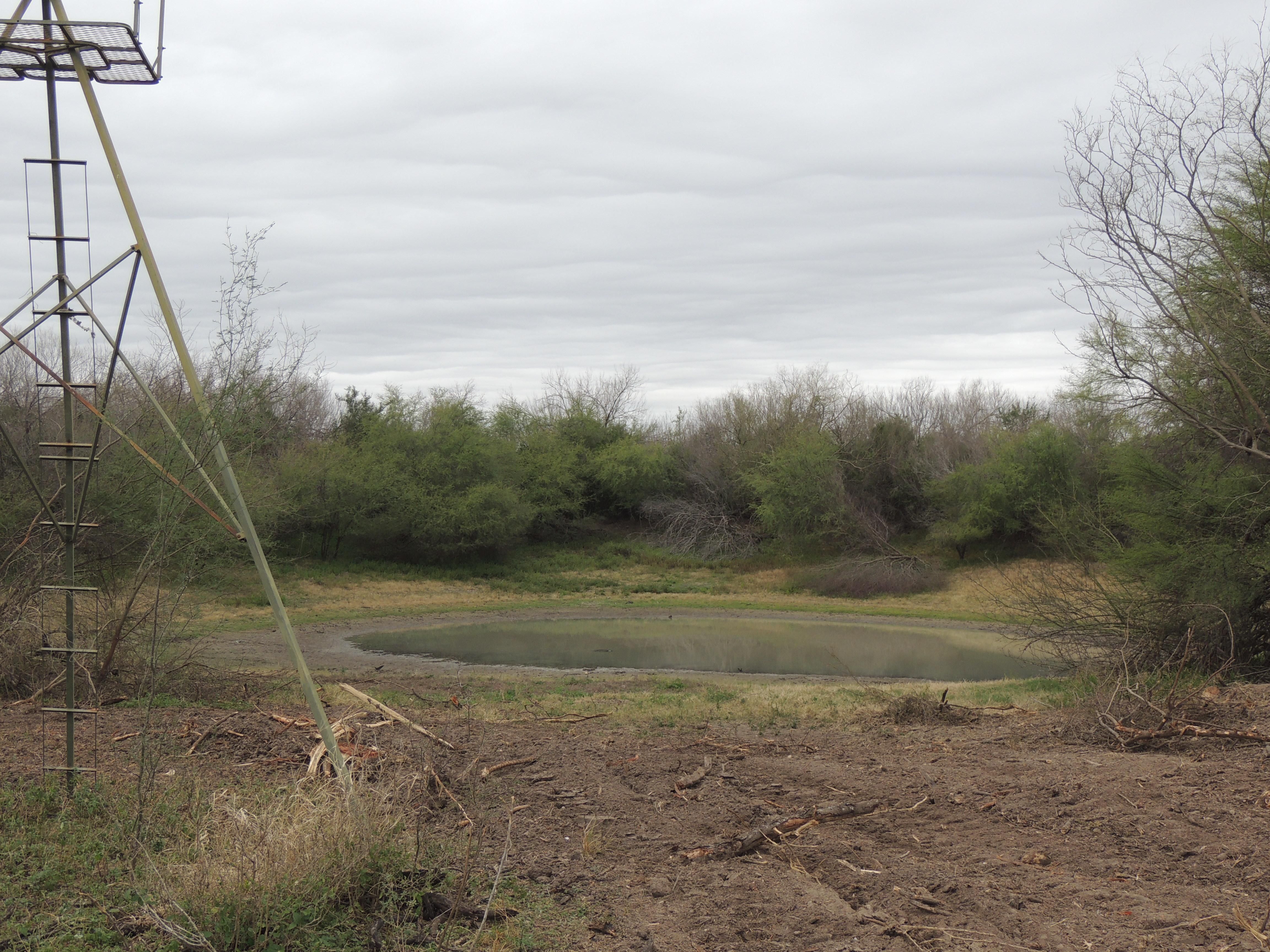 640 acres in Oilton, TX, 78371