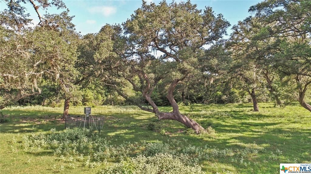 65.09 acres in Jackson County, Texas