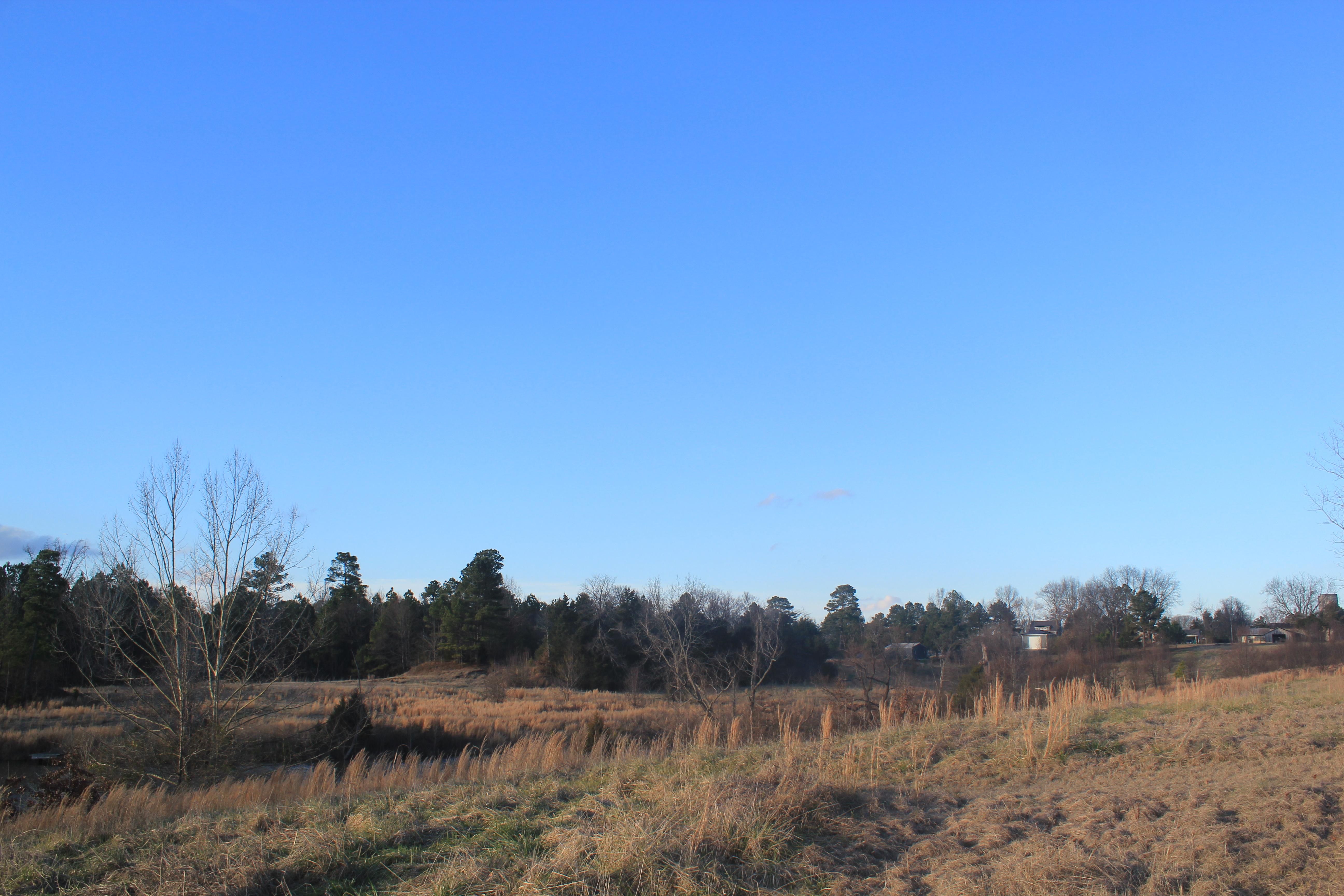 50 acres in DeSoto County, Mississippi