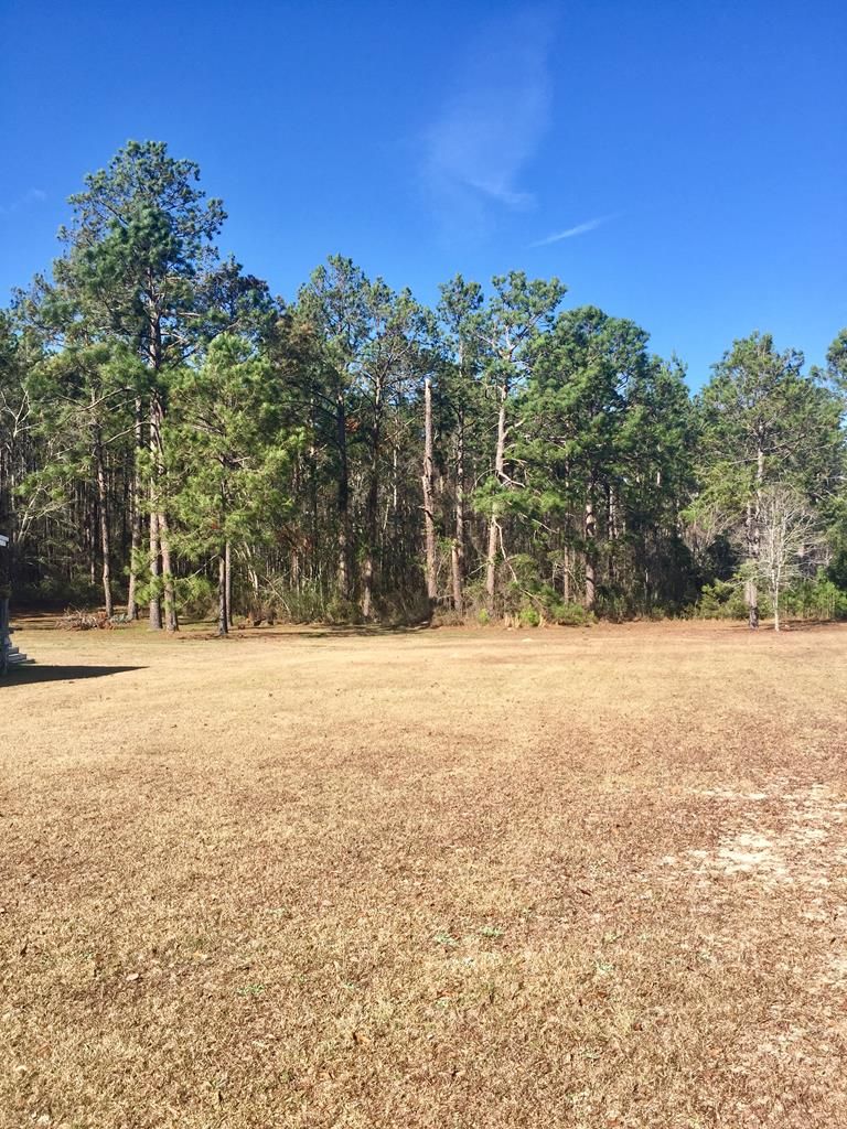 3 acres in Ben Hill County,
