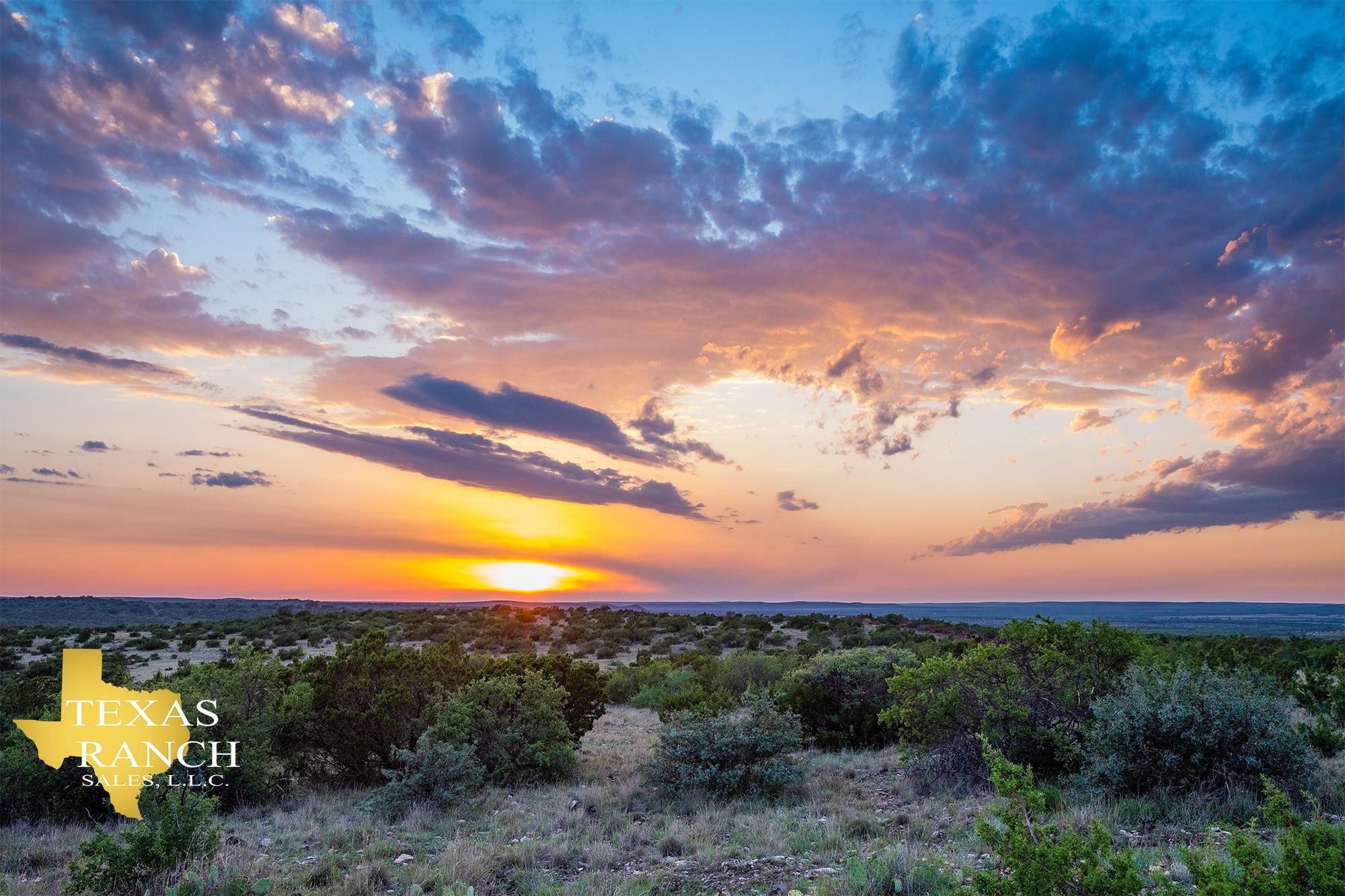 1,650 acres in Tom Green County, Texas