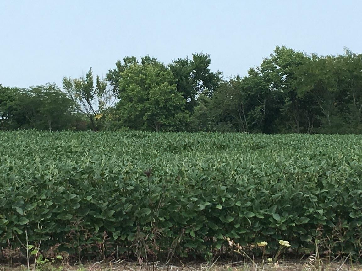 500 acres in Grant City, MO, 64456 MLS 520A