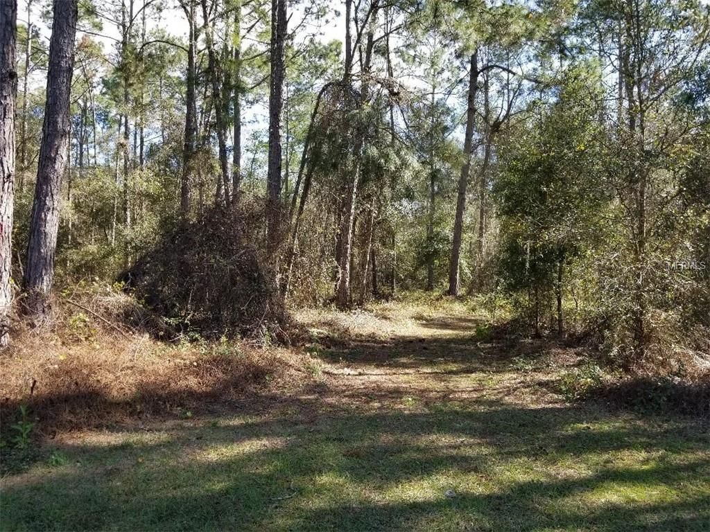 4.98 acres in Polk County, Florida