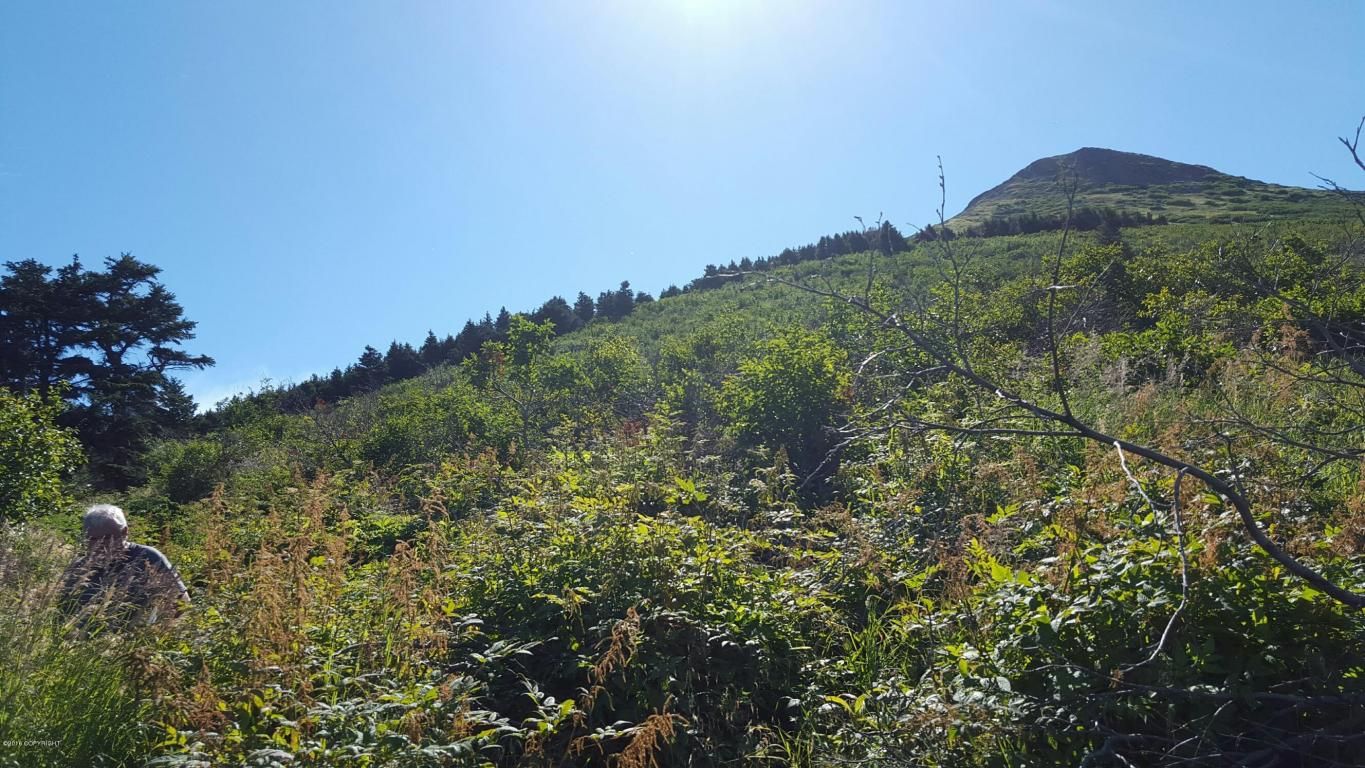 35 acres in Anchorage Borough, Alaska