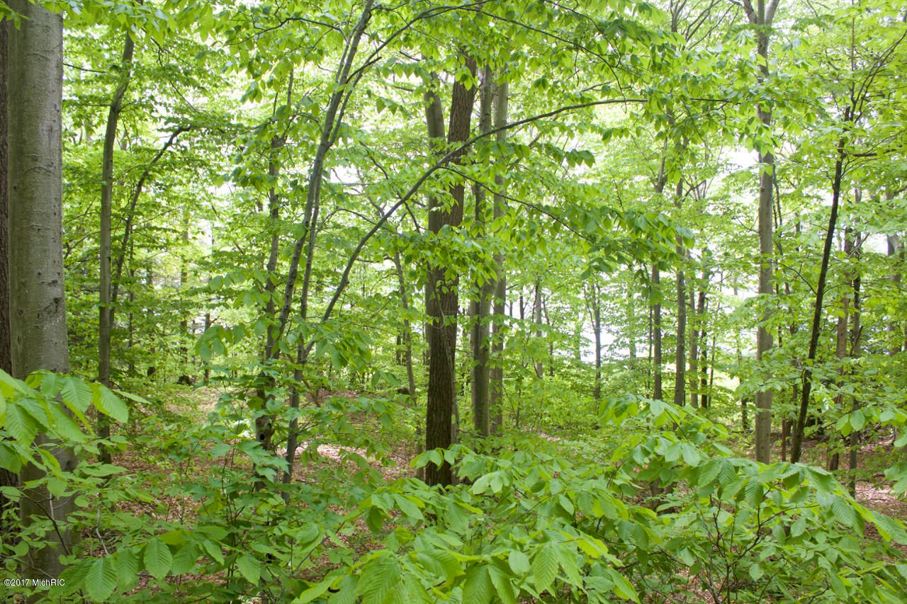 35 acres in Allegan County, Michigan