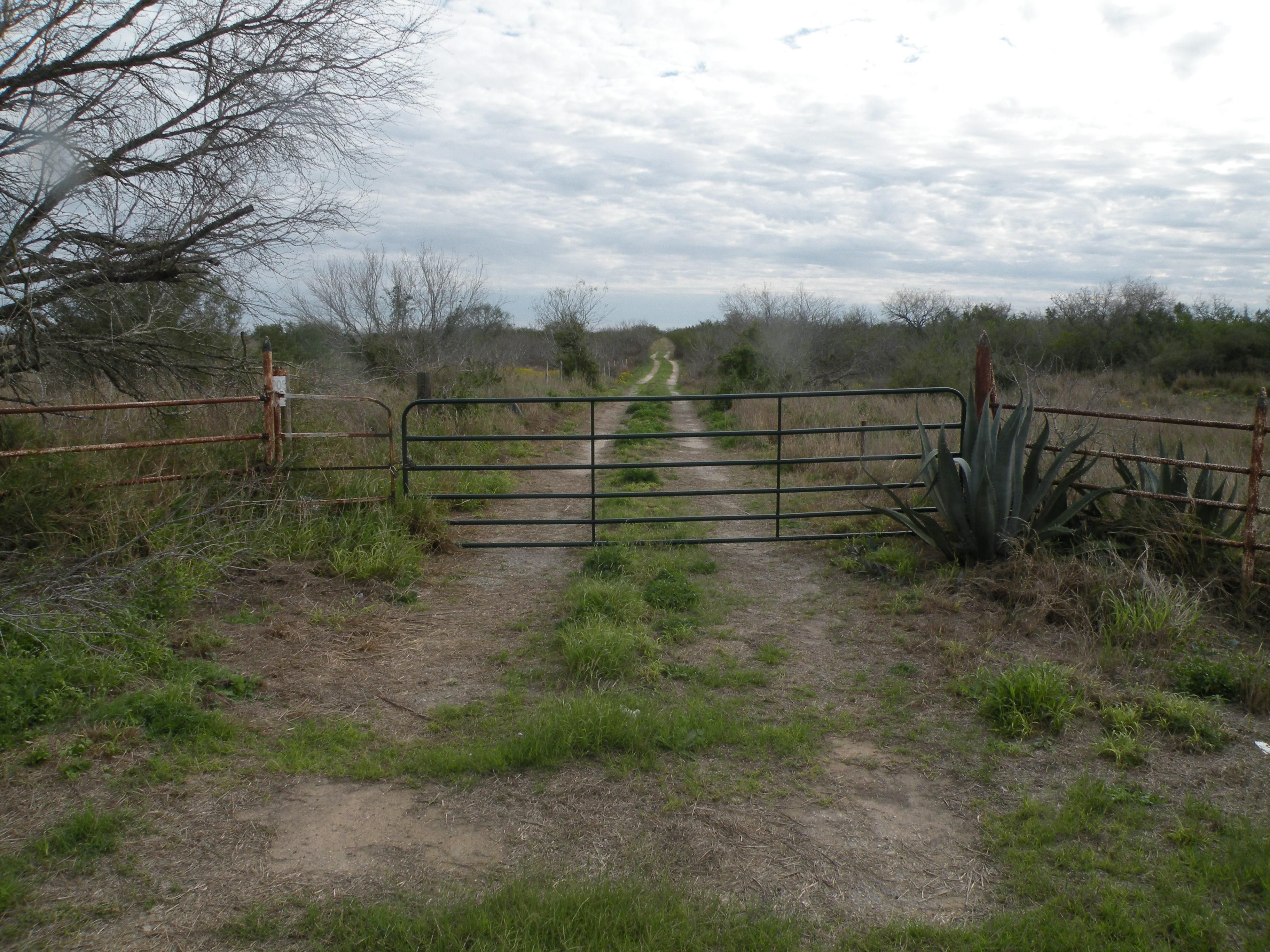 167 acres in Brooks County, Texas