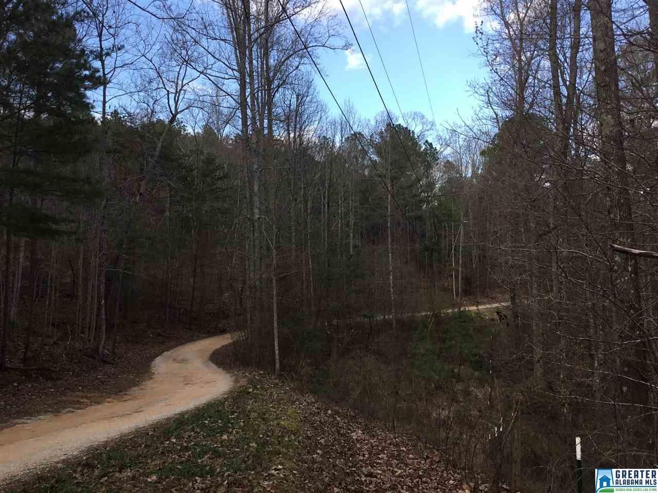 10 acres in Shelby County, Alabama