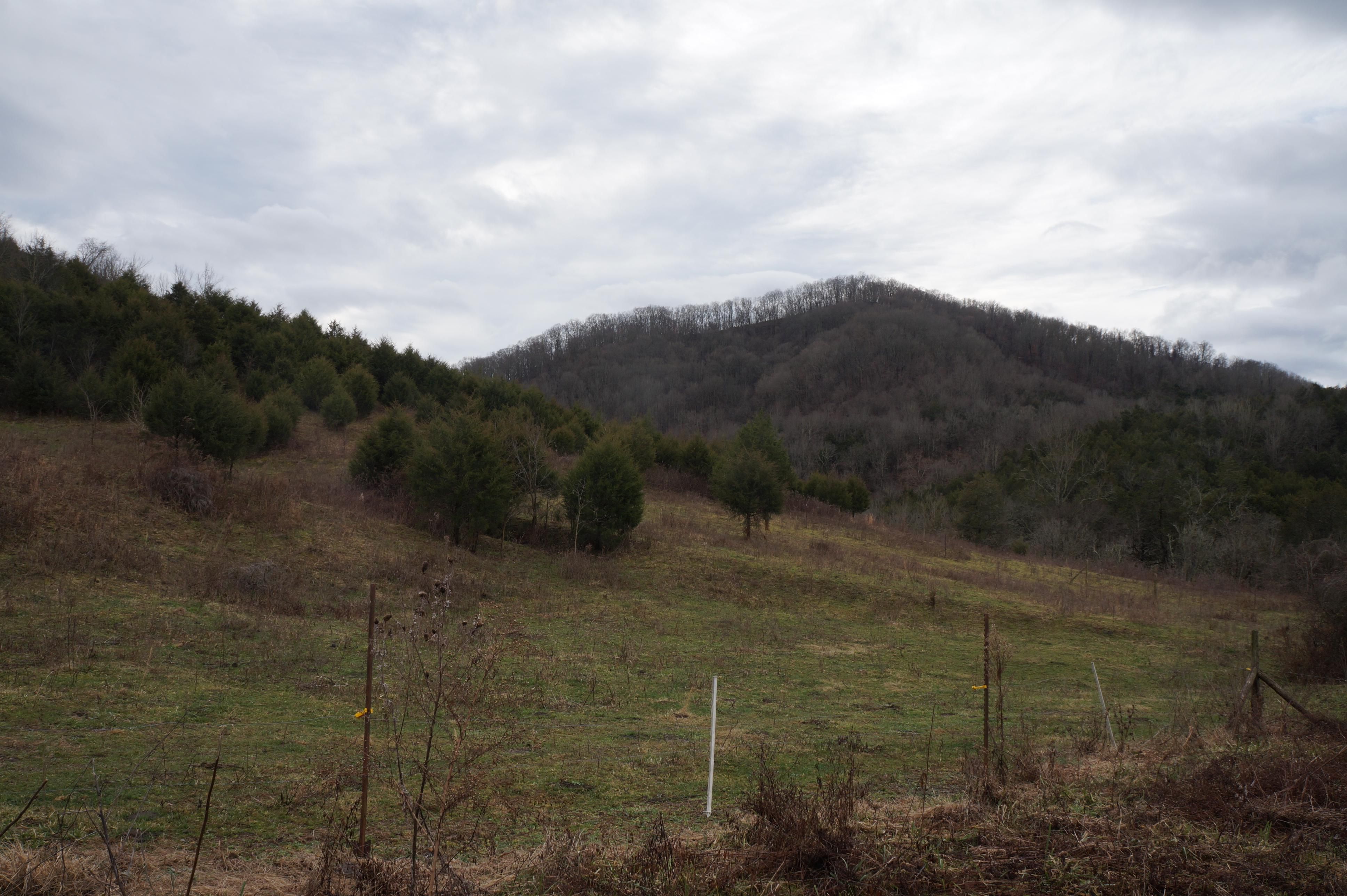 121 acres in Claiborne County, Tennessee