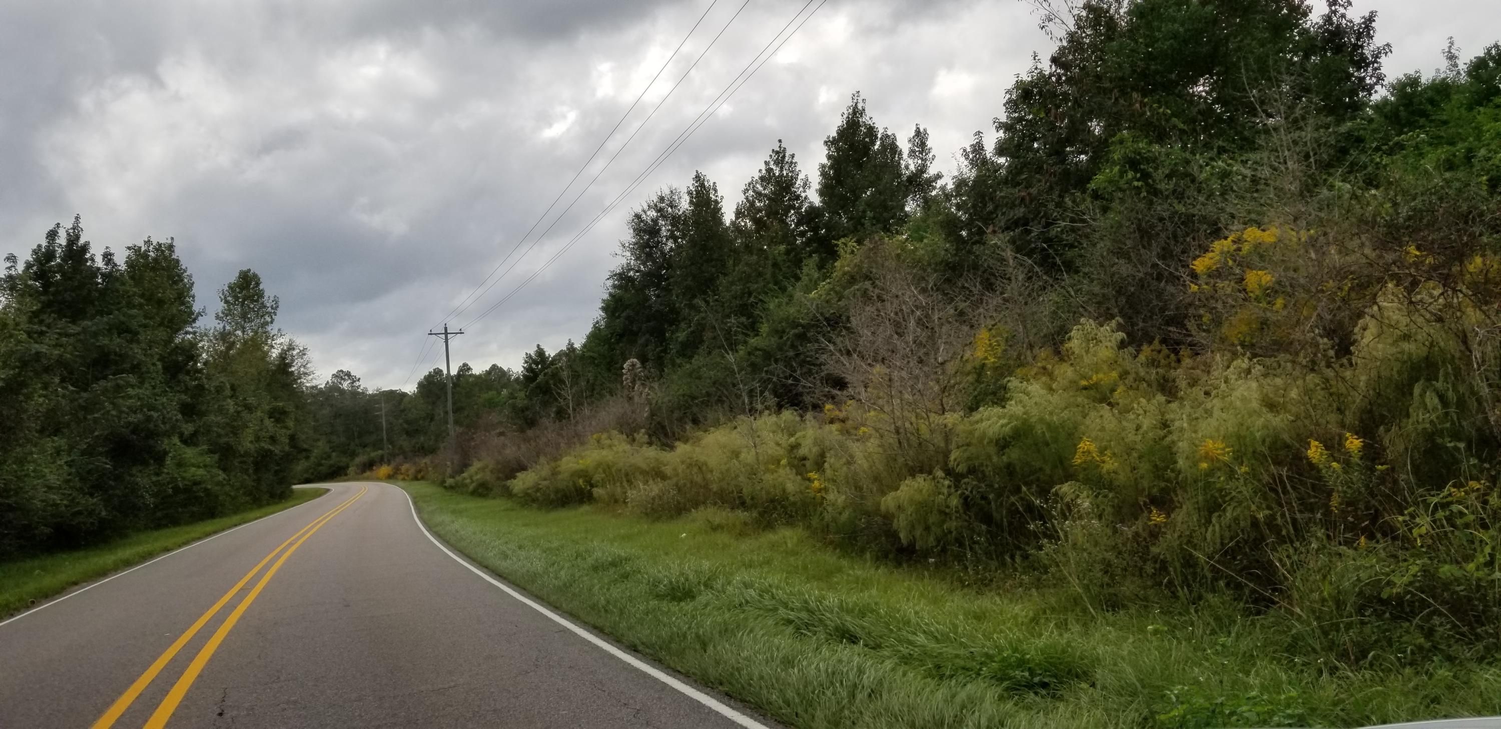 16 acres in Lamar County, Mississippi