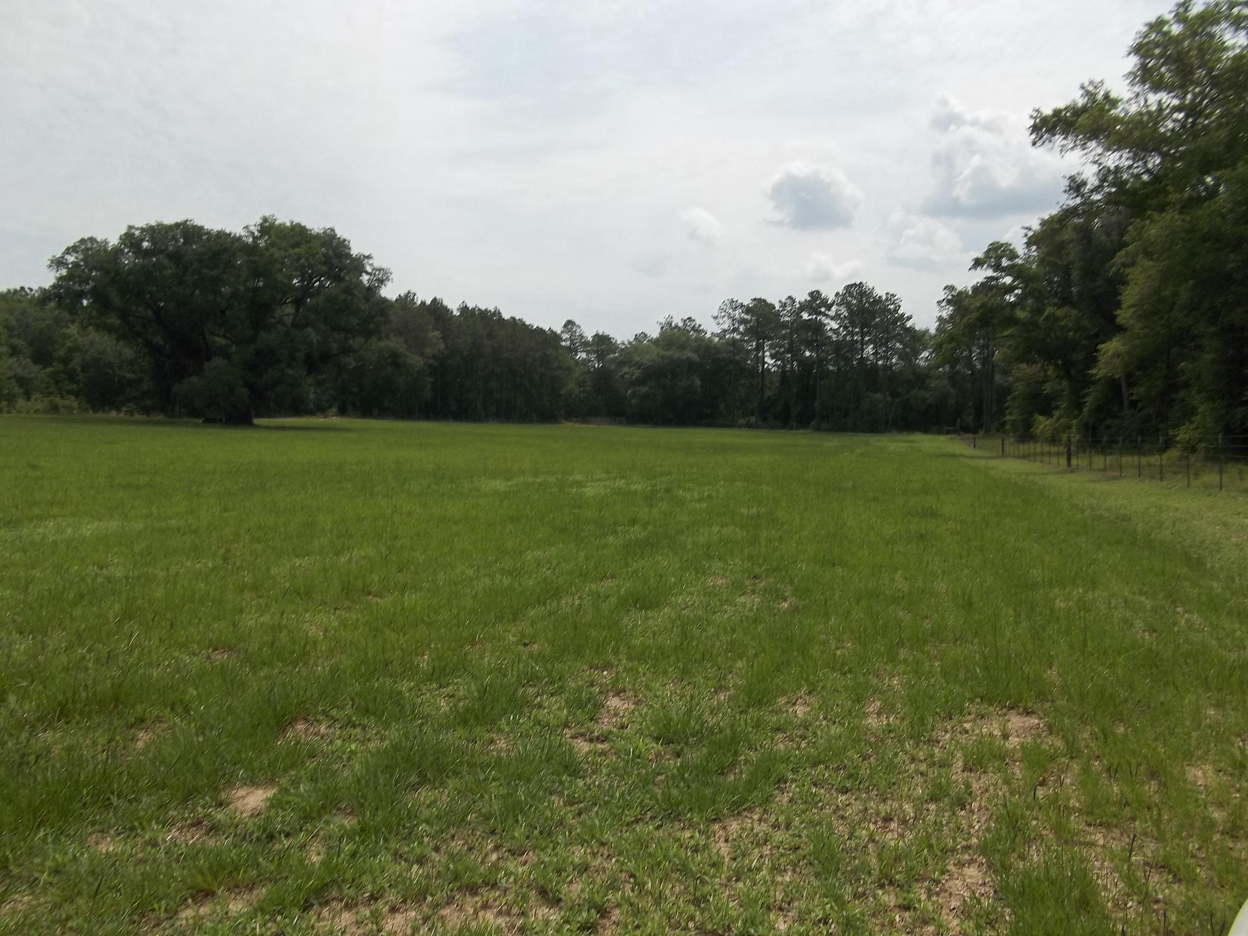 61 acres in Madison County, Florida