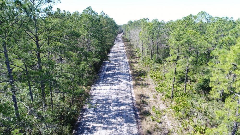 94 acres in Camden County,