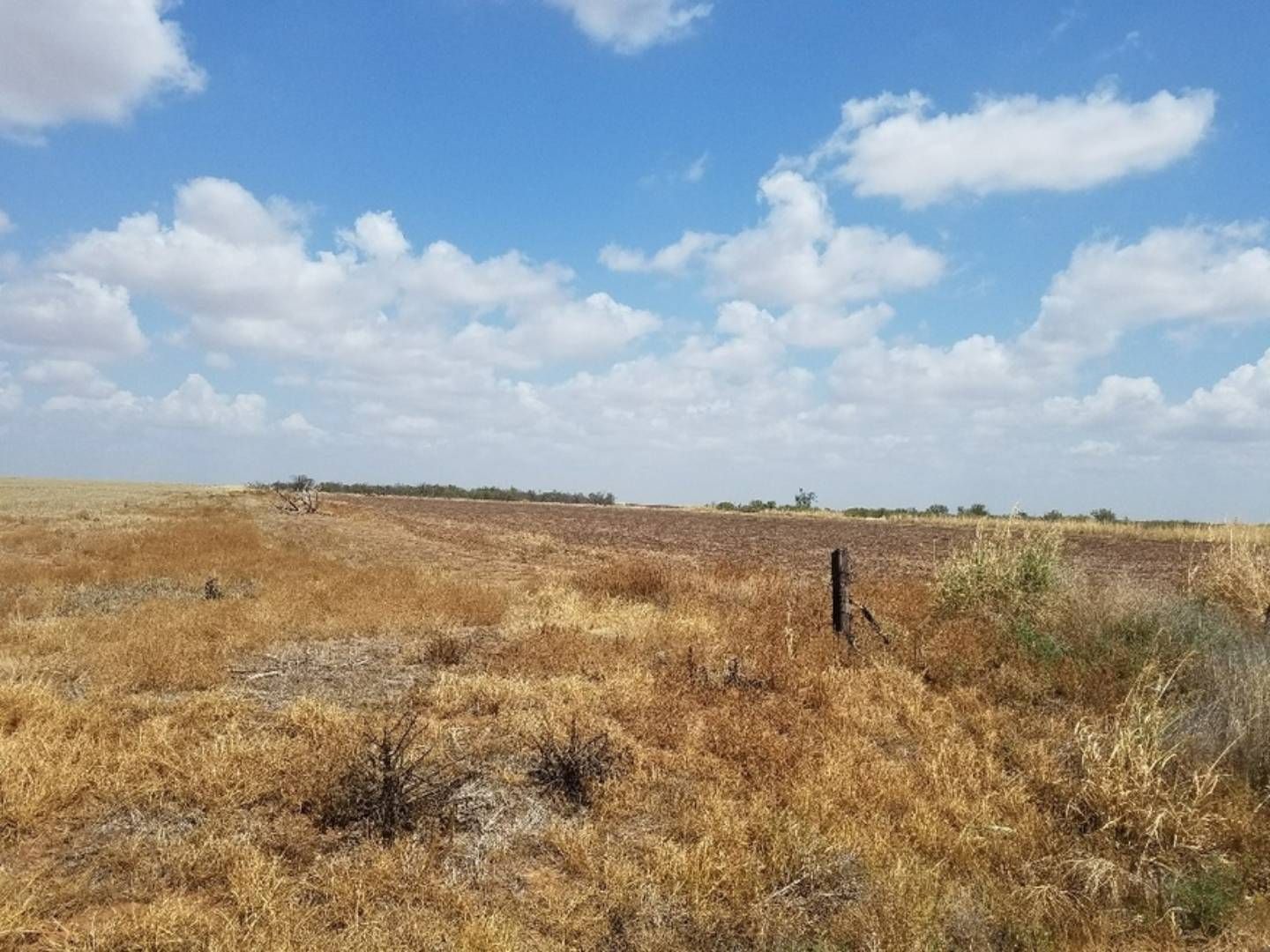 160 acres in Wilbarger County, Texas
