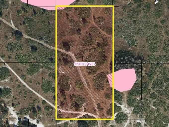5 acres in Osceola County, Florida