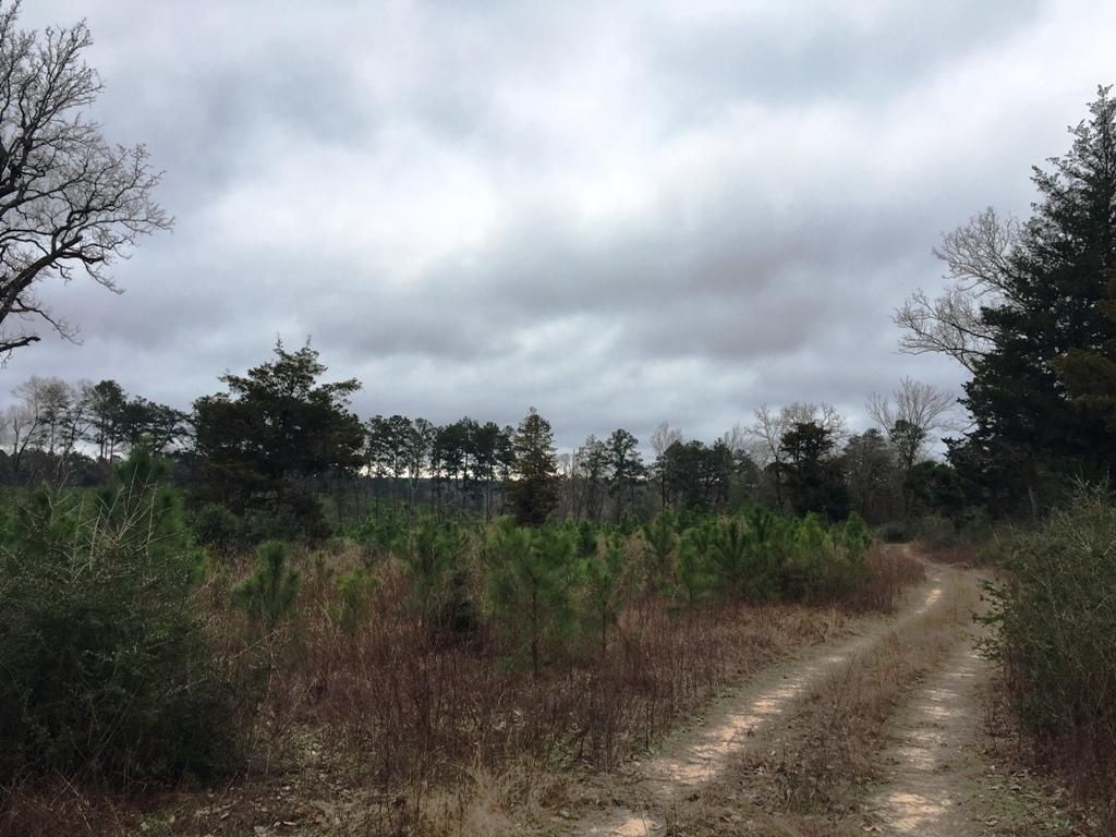 State Highway 21 West, Chireno, TX 75937