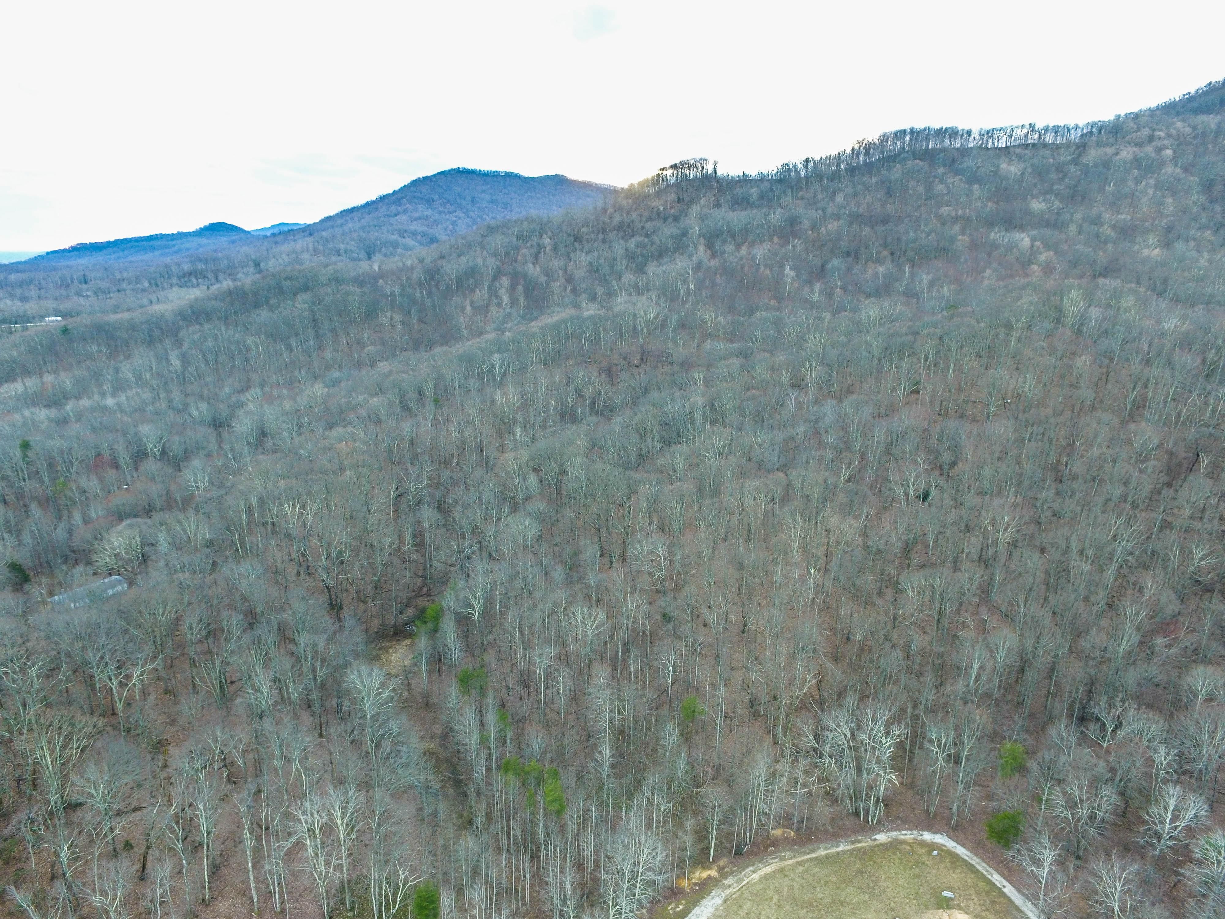 24.25 acres in Anderson County, Tennessee