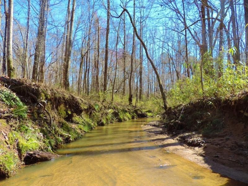 100 acres in Greene County,