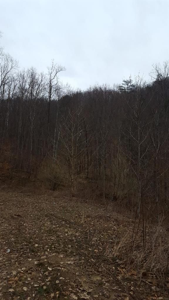 13 acres in Perry County, Kentucky