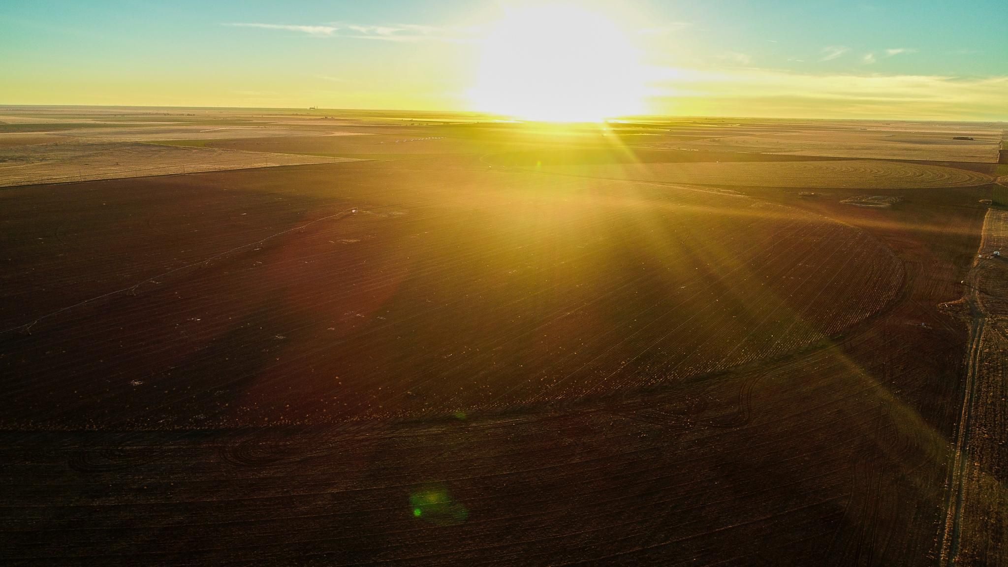 320 acres in Castro County, Texas