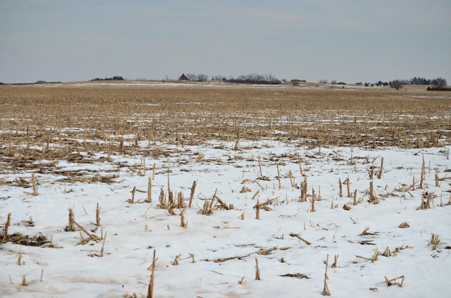 144 acres in Morris County, Kansas