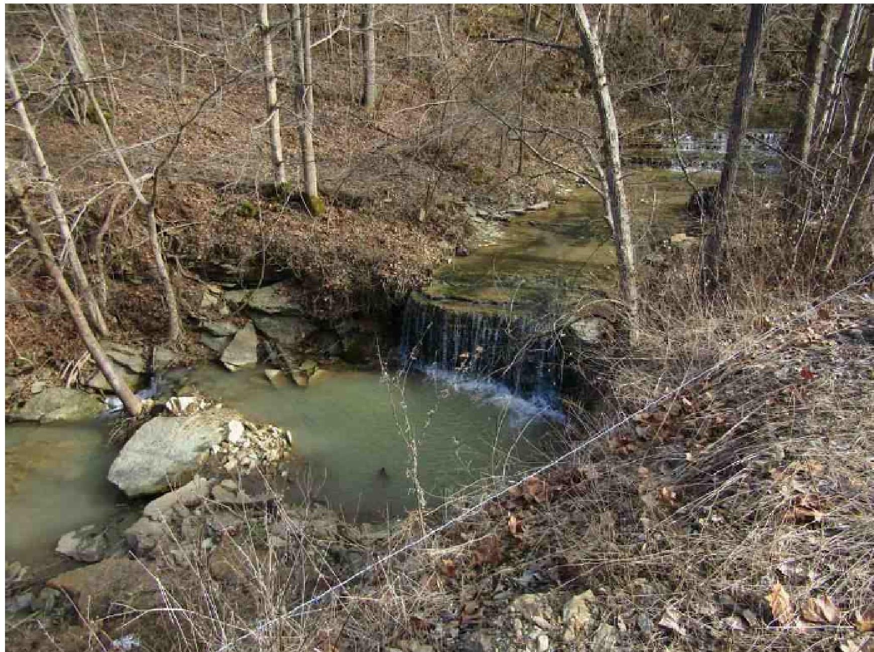 4 acres in Lewis County, Kentucky