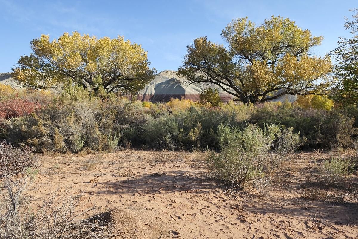 160 acres in Wayne County, Utah