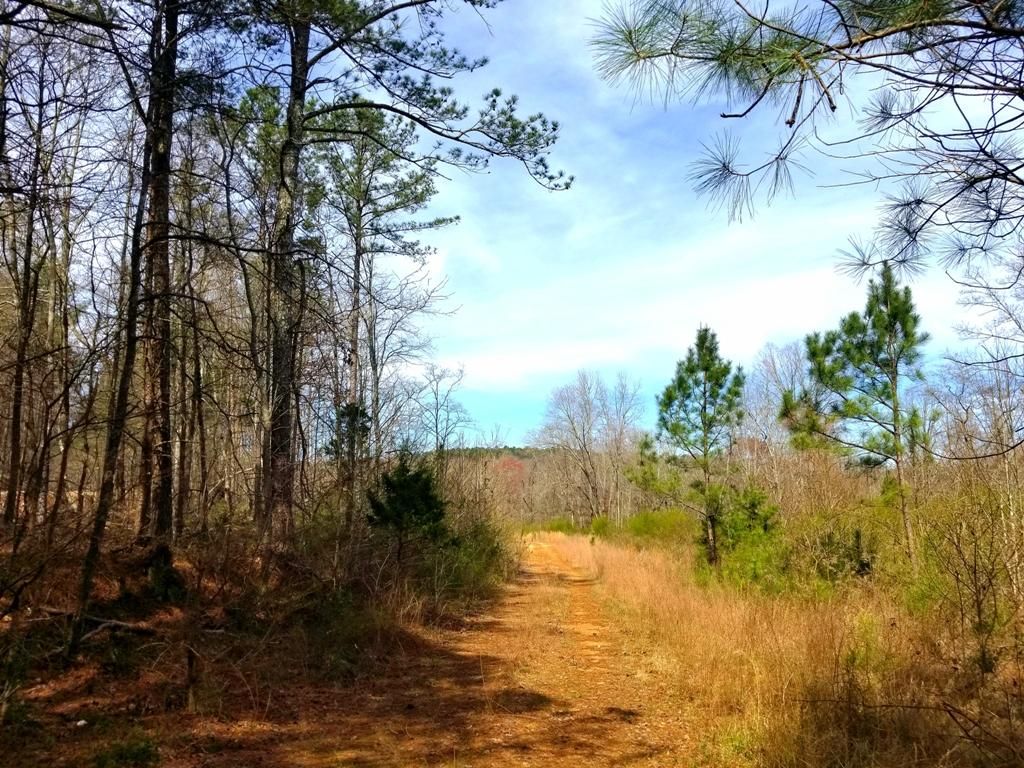 211 acres in Gordon County,