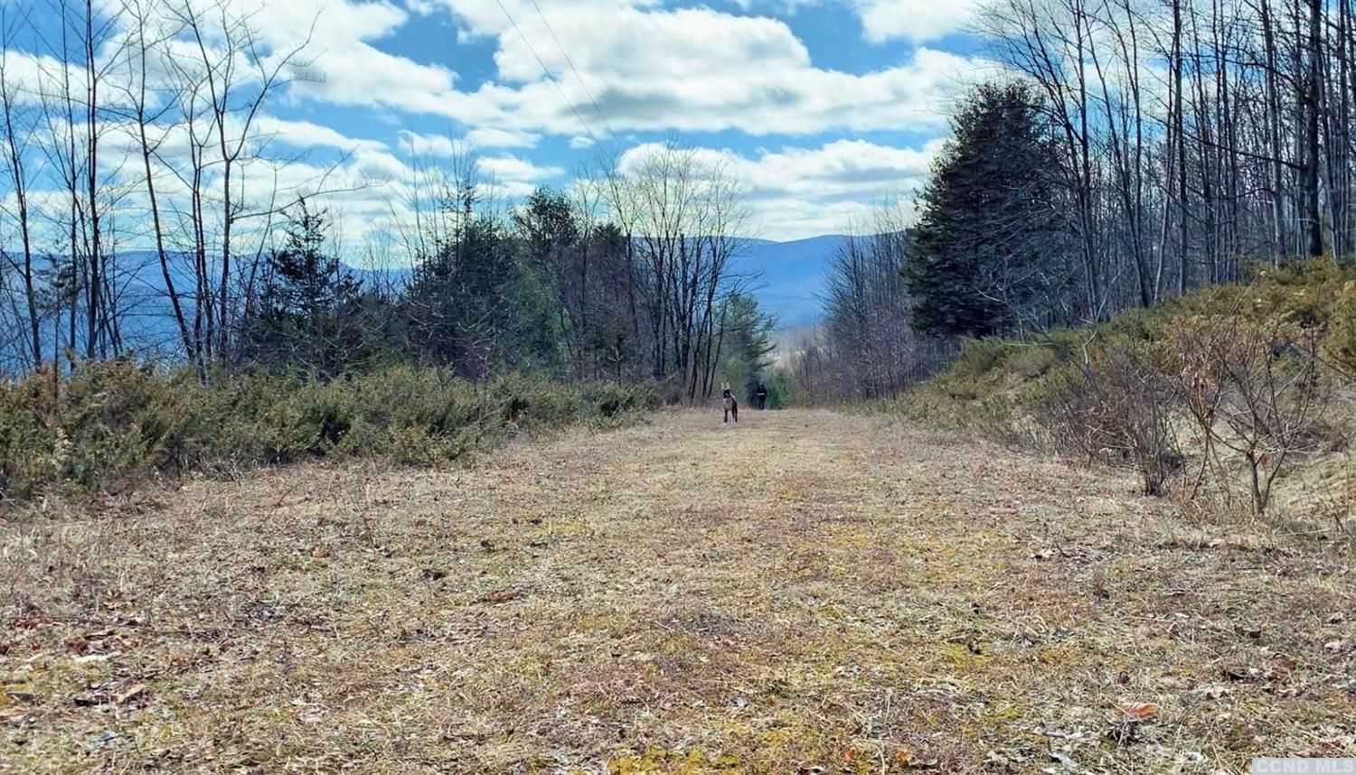 30.3 acres in Greene County, New York