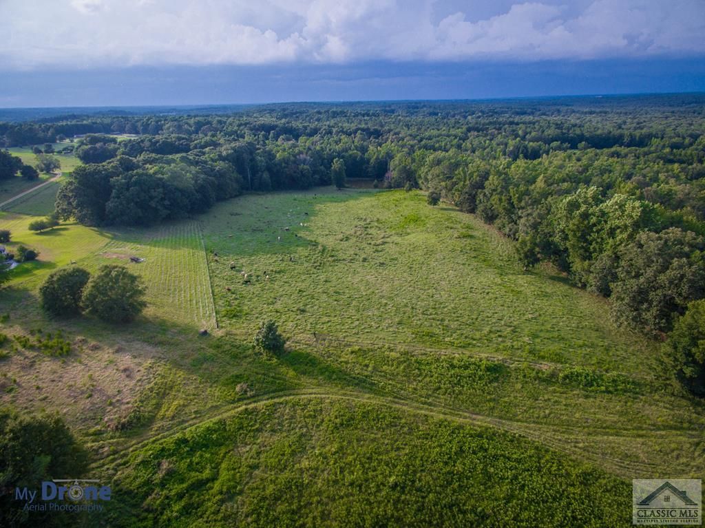 100 acres in Walton County,