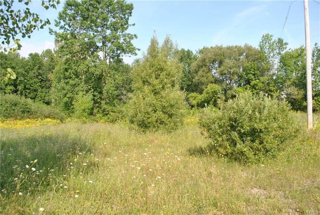 15.74 acres in Madison County, New York