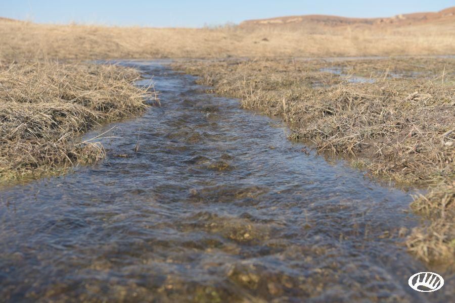 5,527 acres in Rooks County, Kansas