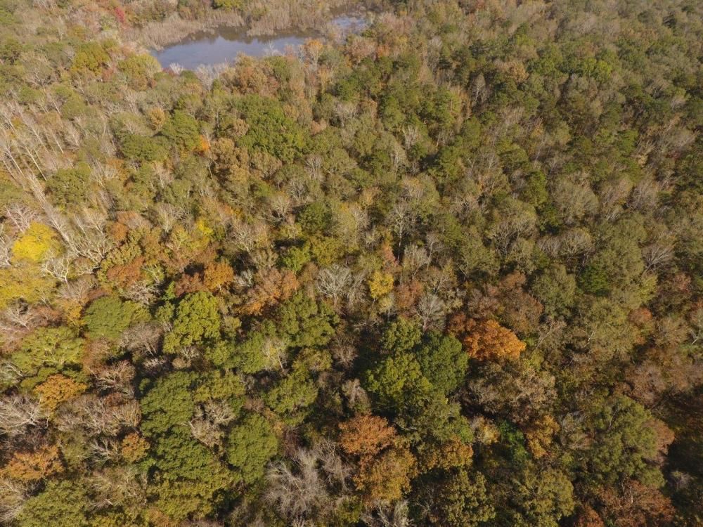 0 Woodley Road, Ramer, AL 36069