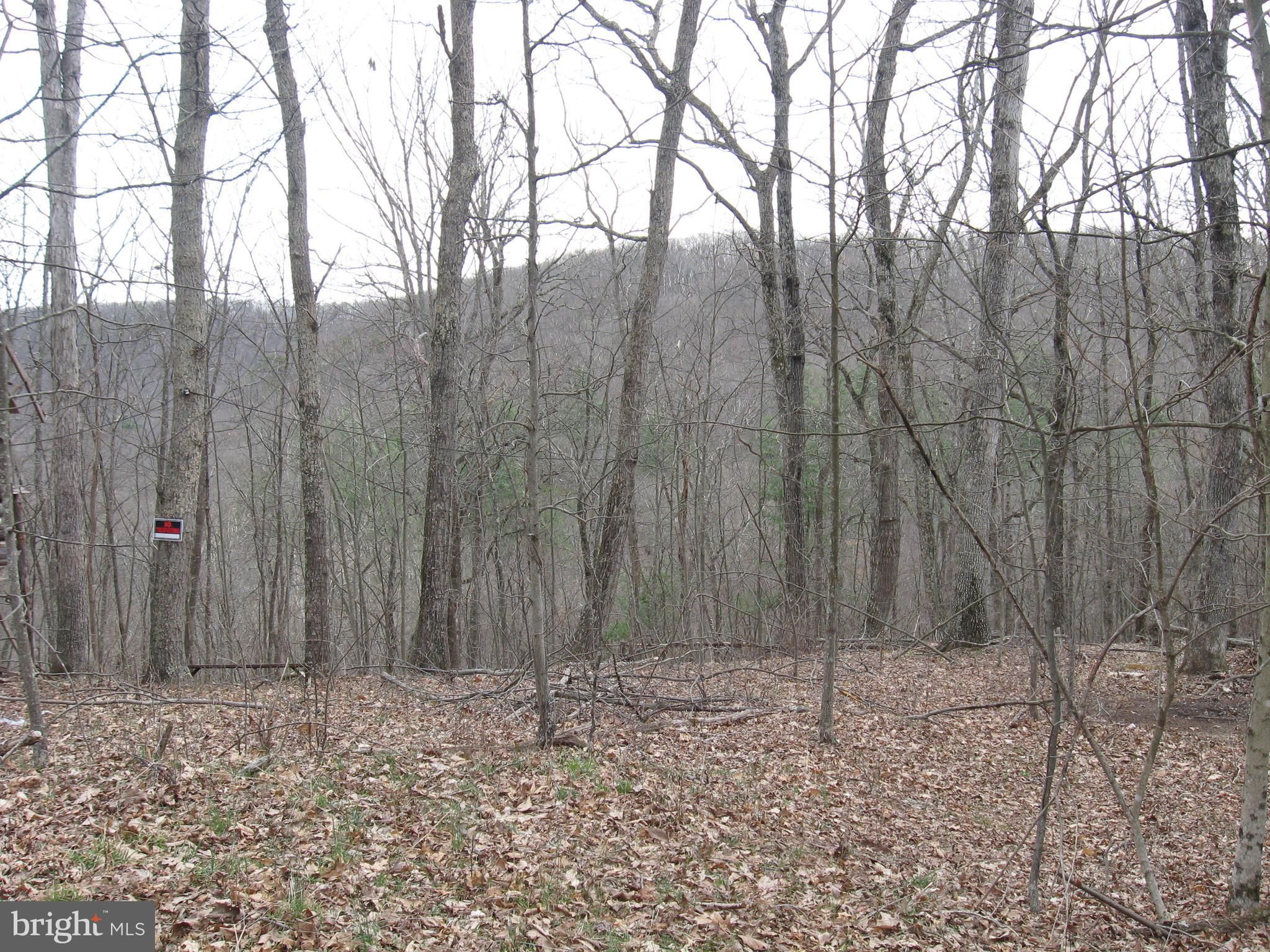 10 acres in County, West Virginia