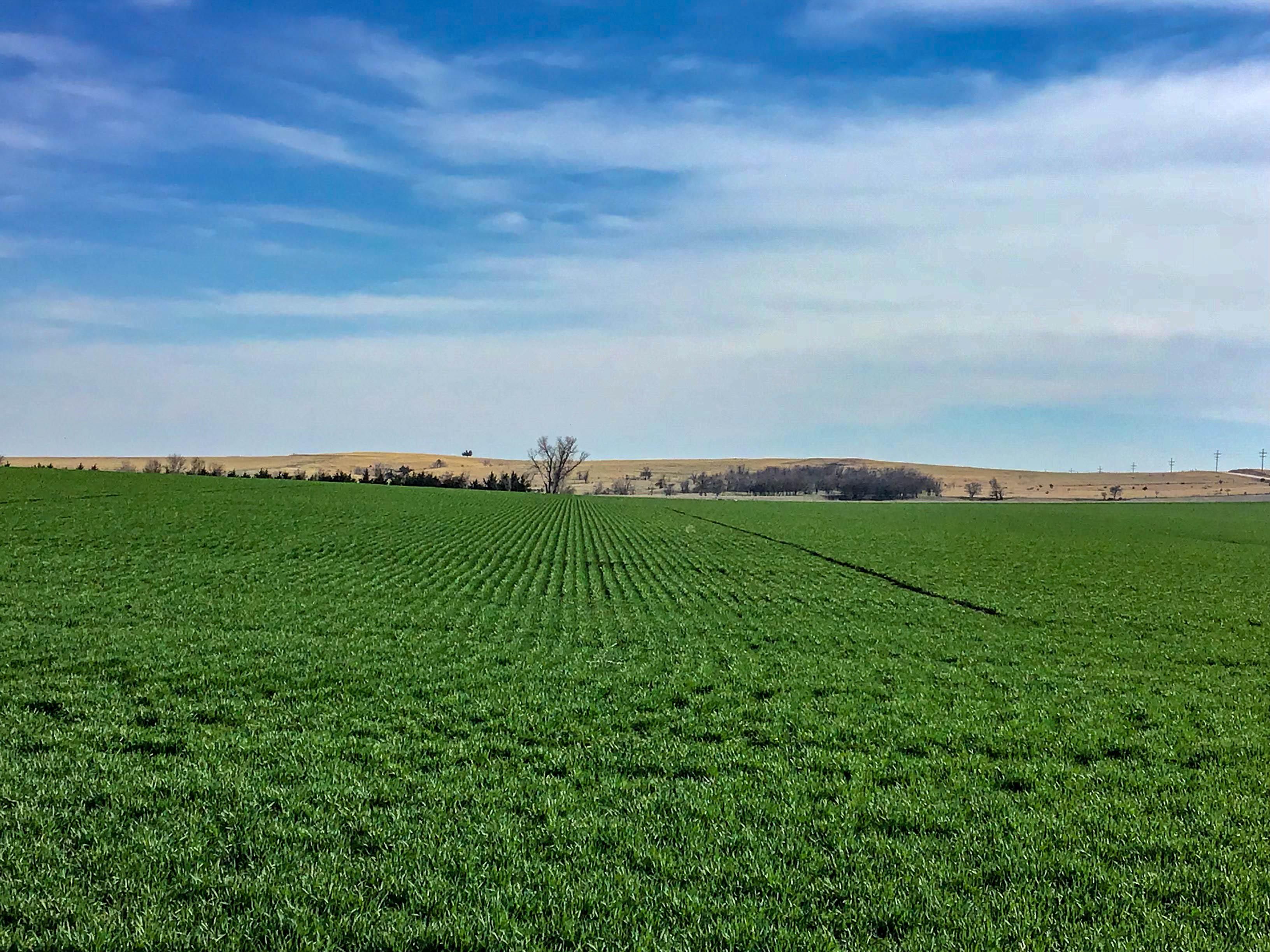 160 acres in Rooks County, Kansas