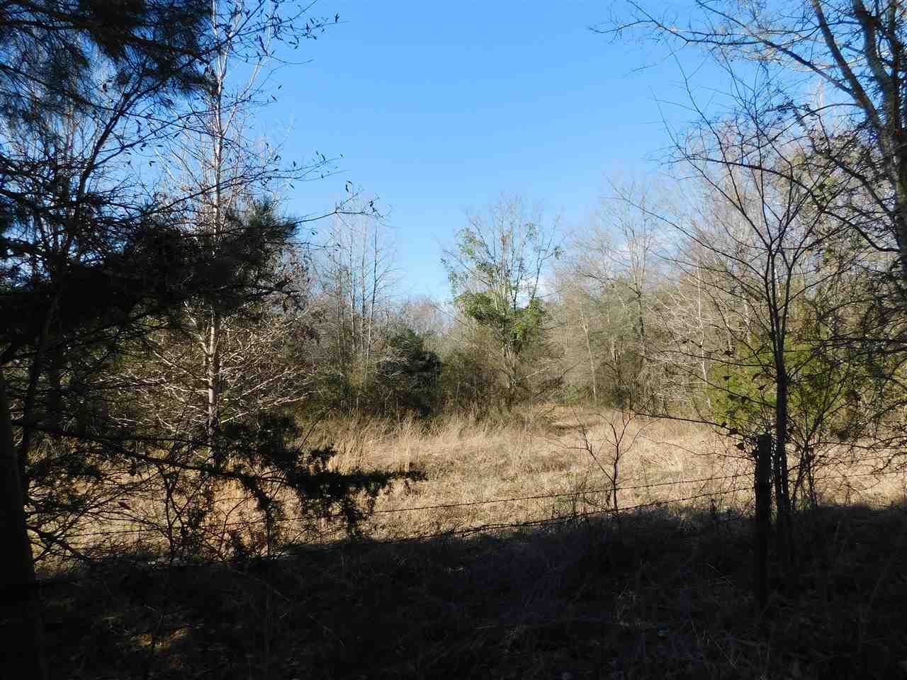 40 acres in Upshur County, Texas