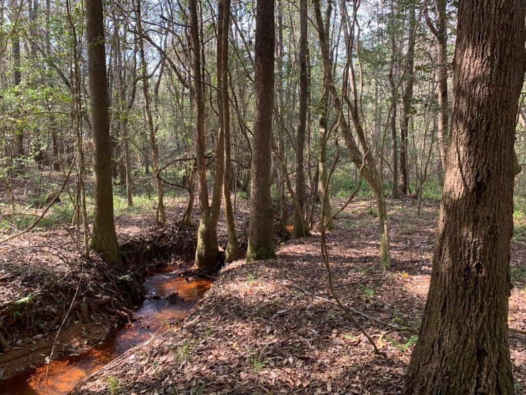 57 acres in Pike County, Alabama