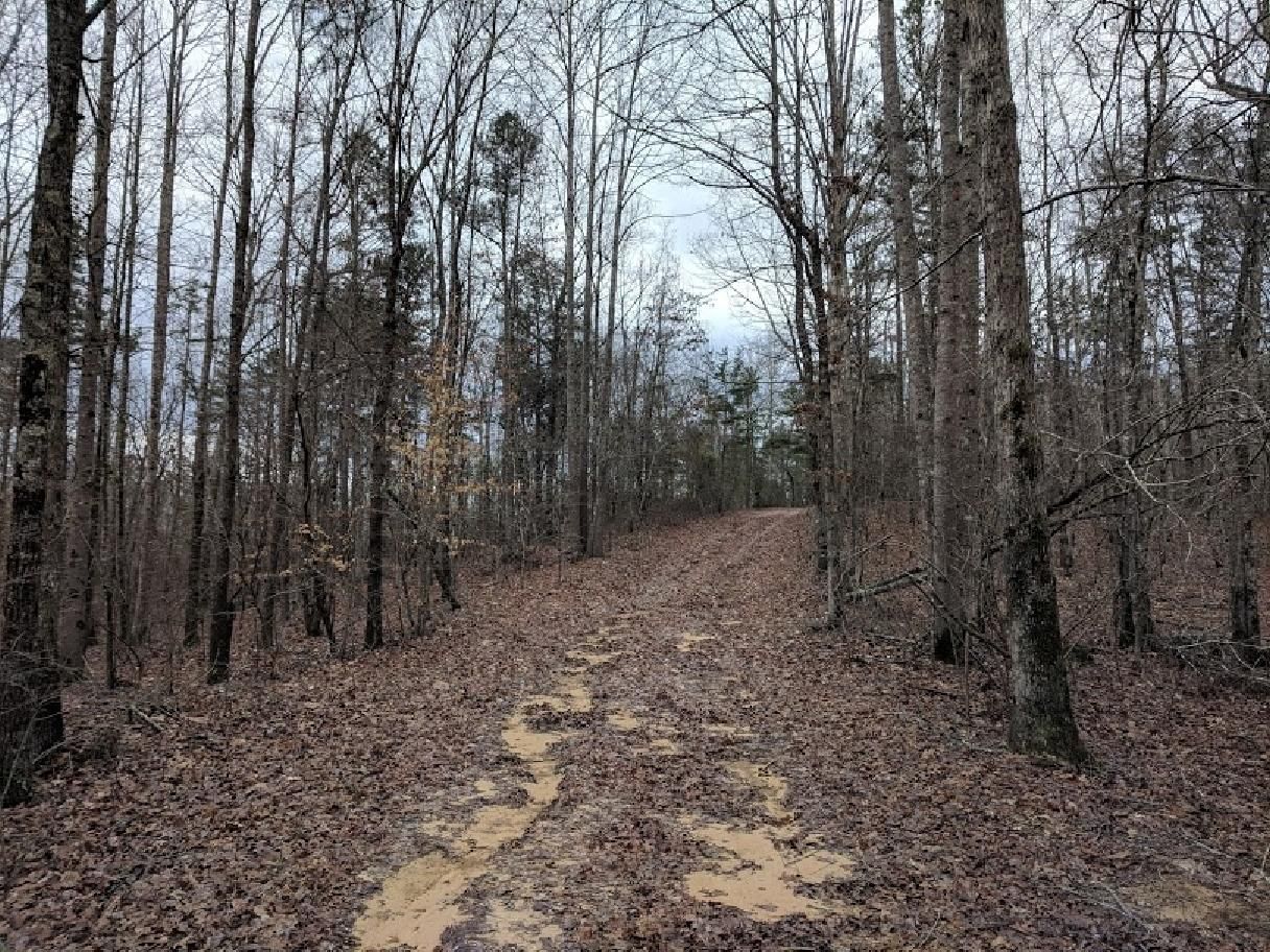 20 acres in Winston County, Alabama