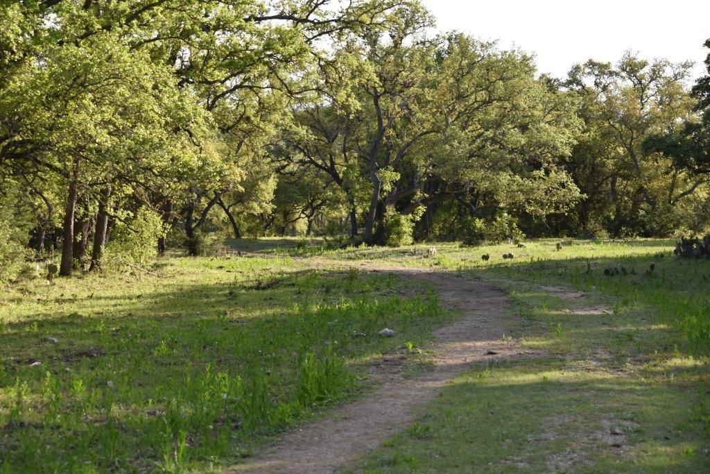53 acres in Medina County, Texas